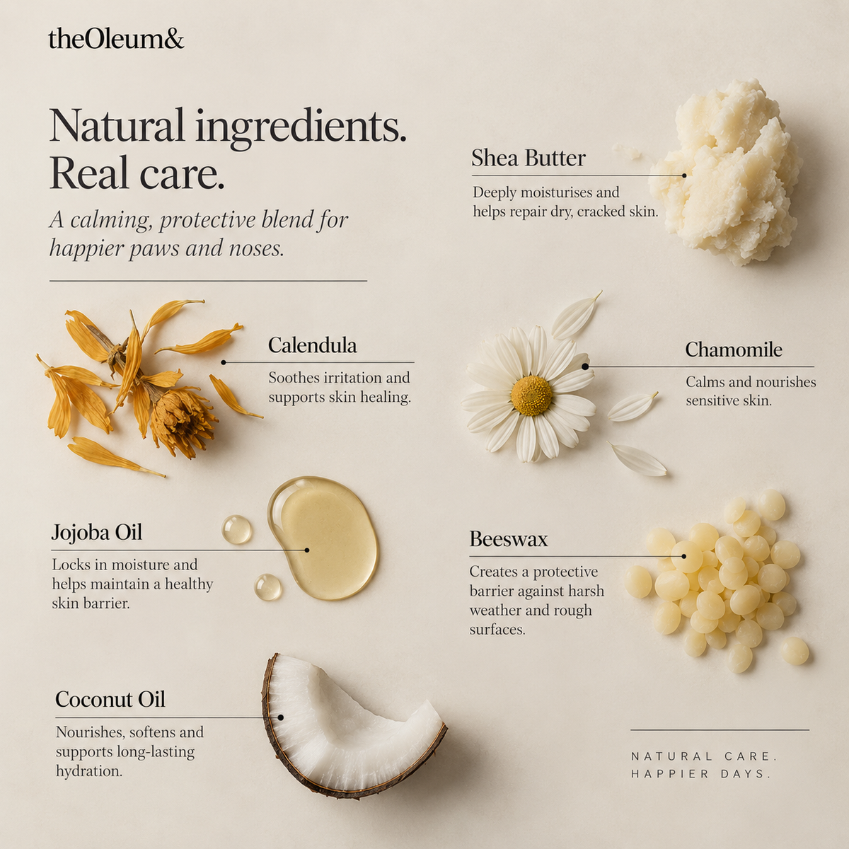 Paw & Nose Balm